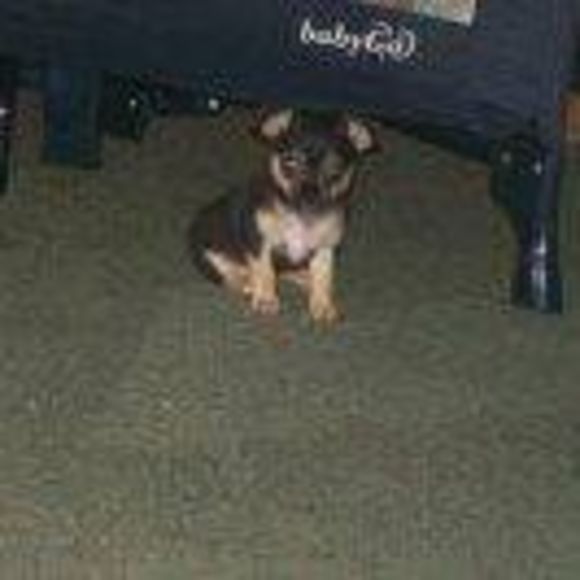 Meet the Posher Other - Meet your Posher, Teresa